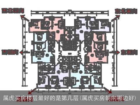 属虎买房楼层最好的是第几层(属虎买房朝向哪边好)