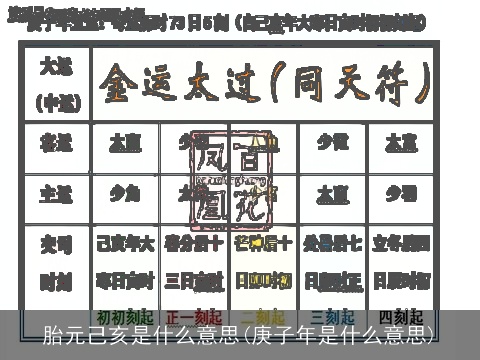 胎元己亥是什么意思(庚子年是什么意思)