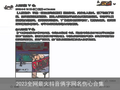 2023全网最火抖音俩字网名伤心合集