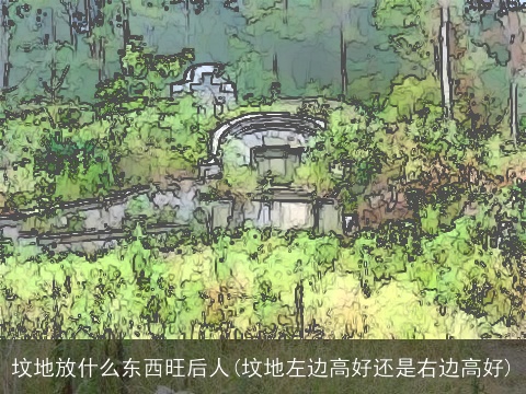 坟地放什么东西旺后人(坟地左边高好还是右边高好)