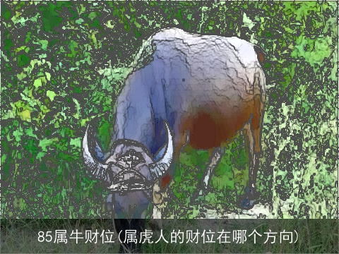 85属牛财位(属虎人的财位在哪个方向)