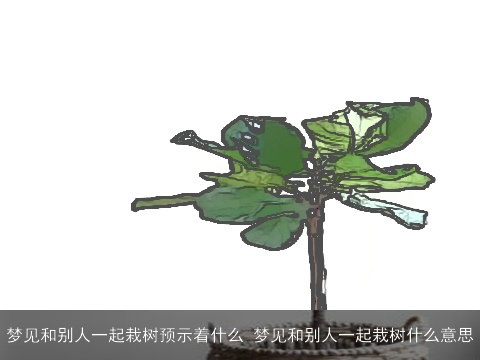 梦见和别人一起栽树预示着什么 梦见和别人一起栽树什么意思