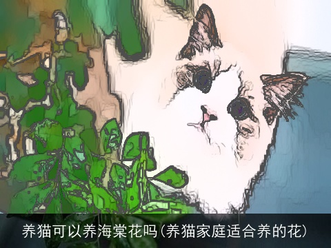养猫可以养海棠花吗(养猫家庭适合养的花)