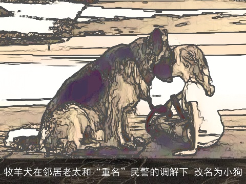 牧羊犬在邻居老太和“重名”民警的调解下 改名为小狗