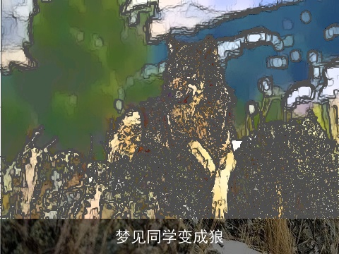 梦见同学变成狼