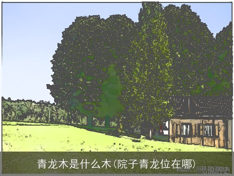 青龙木是什么木(院子青龙位在哪)