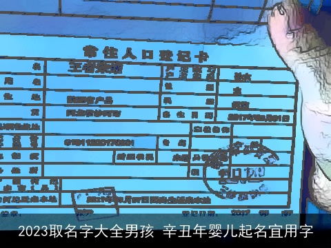 2023取名字大全男孩 辛丑年婴儿起名宜用字