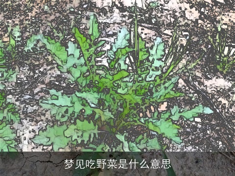 梦见吃野菜是什么意思