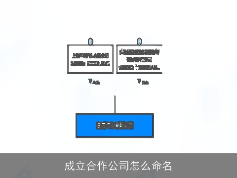 成立合作公司怎么命名