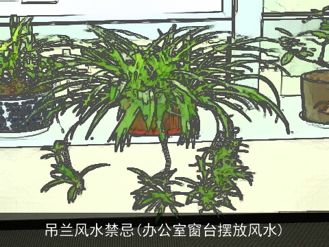 吊兰风水禁忌(办公室窗台摆放风水)