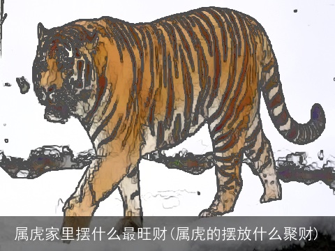 属虎家里摆什么最旺财(属虎的摆放什么聚财)