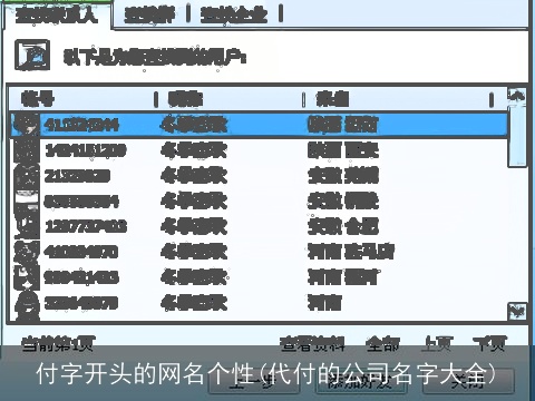 付字开头的网名个性(代付的公司名字大全)