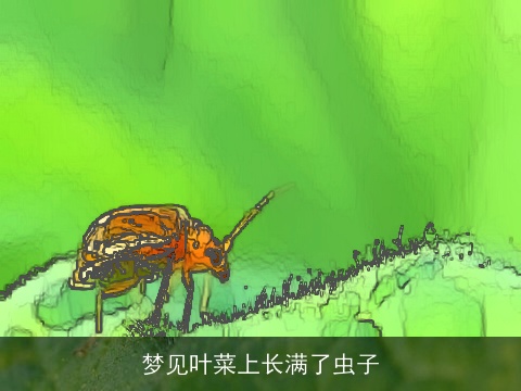 梦见叶菜上长满了虫子