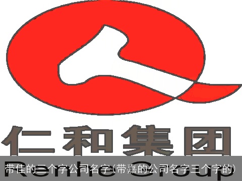 带佳的三个字公司名字(带嘉的公司名字三个字的)