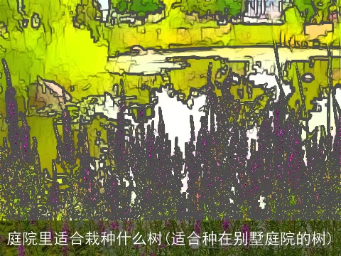 庭院里适合栽种什么树(适合种在别墅庭院的树)