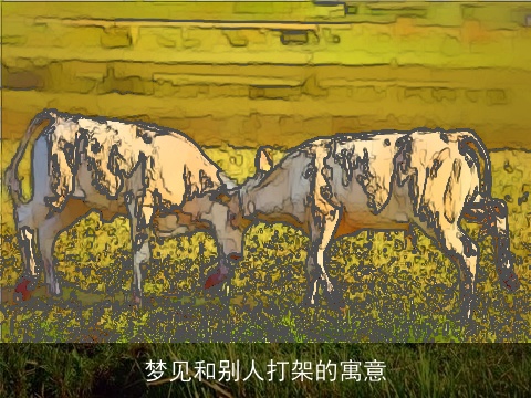 梦见和别人打架的寓意