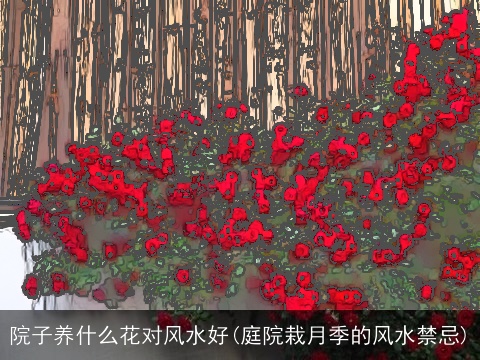 院子养什么花对风水好(庭院栽月季的风水禁忌)