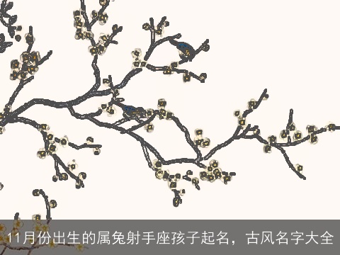 11月份出生的属兔射手座孩子起名，古风名字大全