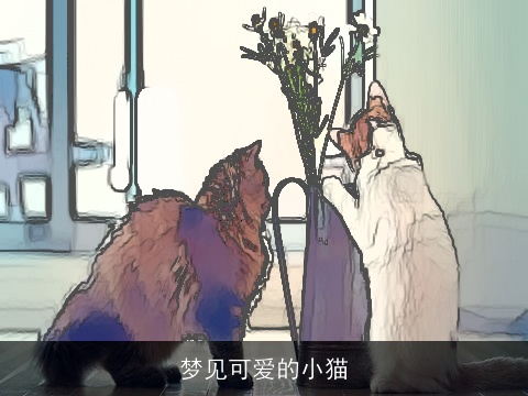 梦见可爱的小猫