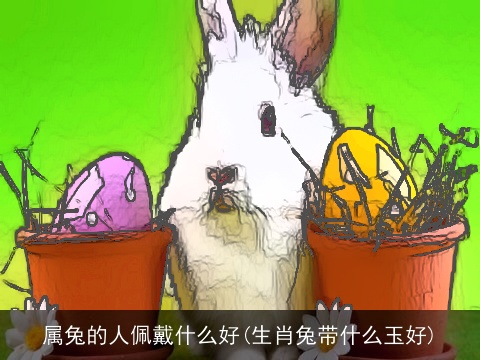 属兔的人佩戴什么好(生肖兔带什么玉好)