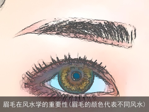 眉毛在风水学的重要性(眉毛的颜色代表不同风水)