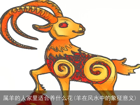 属羊的人家里适合养什么花(羊在风水中的象征意义)