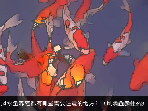 风水鱼养殖都有哪些需要注意的地方？（风水鱼养什么）