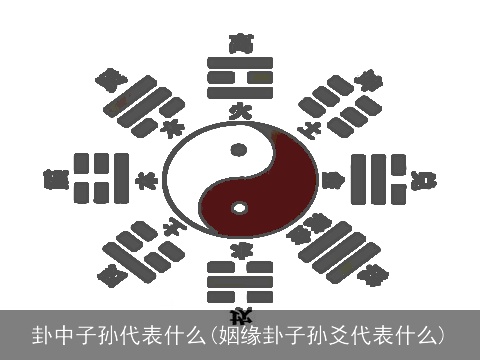 卦中子孙代表什么(姻缘卦子孙爻代表什么)