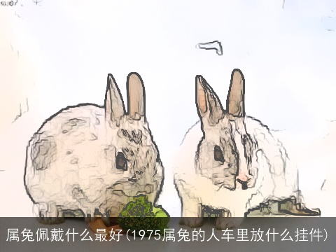 属兔佩戴什么最好(1975属兔的人车里放什么挂件)