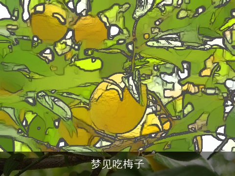 梦见吃梅子