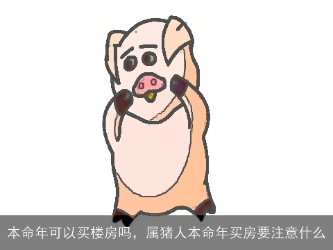 本命年可以买楼房吗，属猪人本命年买房要注意什么