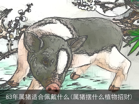 83年属猪适合佩戴什么(属猪摆什么植物招财)