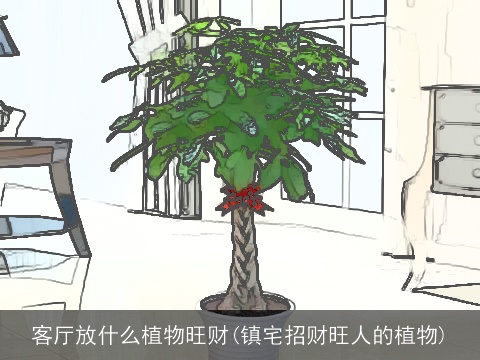 客厅放什么植物旺财(镇宅招财旺人的植物)
