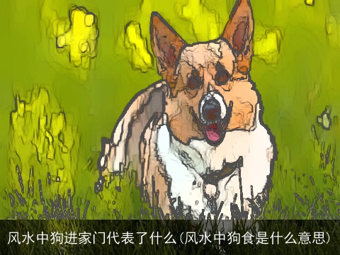 风水中狗进家门代表了什么(风水中狗食是什么意思)
