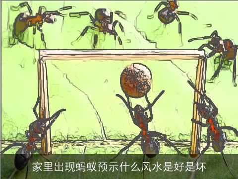 家里出现蚂蚁预示什么风水是好是坏