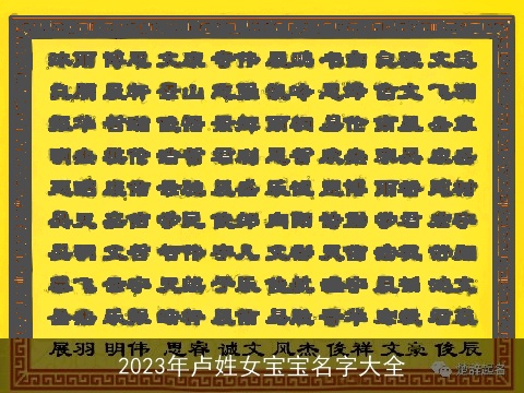 2023年卢姓女宝宝名字大全