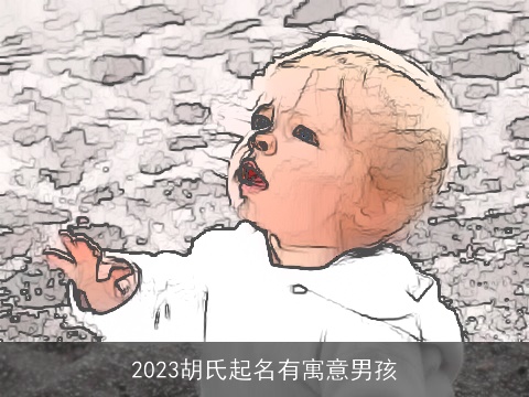 2023胡氏起名有寓意男孩