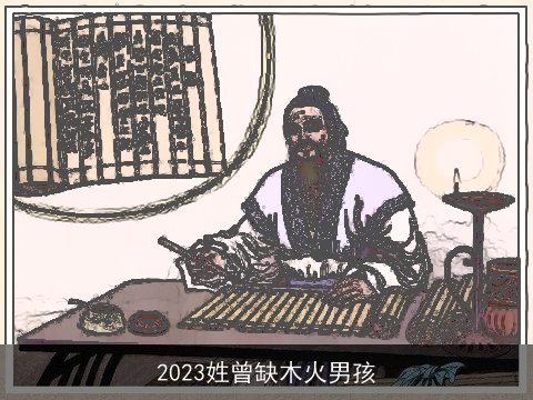 2023姓曾缺木火男孩