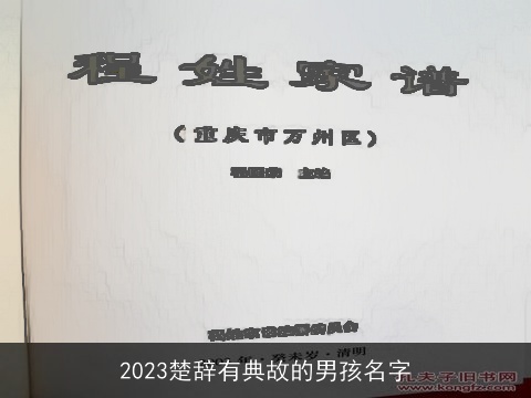 2023楚辞有典故的男孩名字