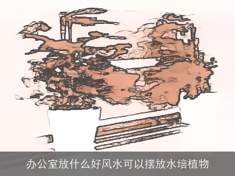 办公室放什么好风水可以摆放水培植物