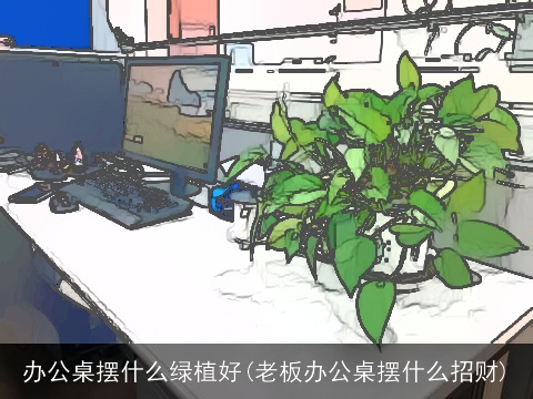 办公桌摆什么绿植好(老板办公桌摆什么招财)