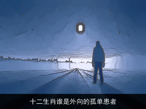 十二生肖谁是外向的孤单患者