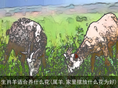 生肖羊适合养什么花(属羊,家里摆放什么花为好)