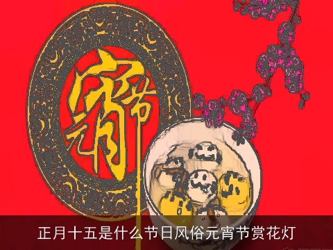 正月十五是什么节日风俗元宵节赏花灯