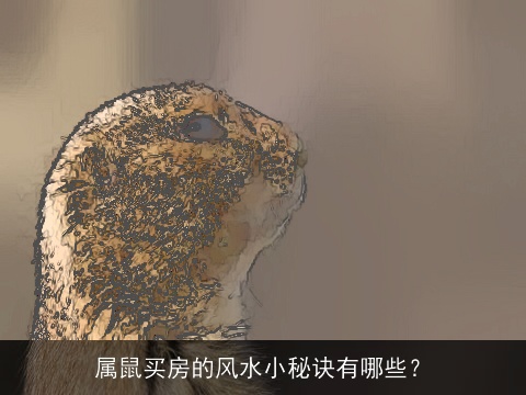 属鼠买房的风水小秘诀有哪些？
