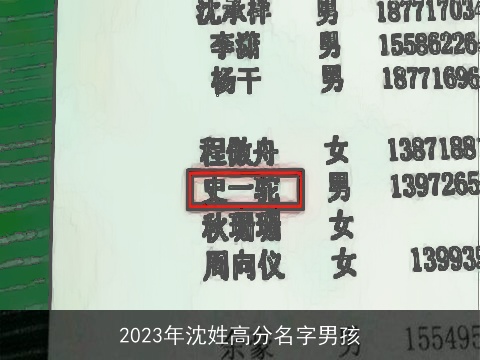 2023年沈姓高分名字男孩