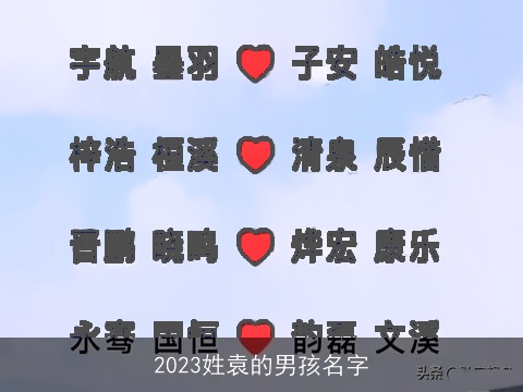 2023姓袁的男孩名字