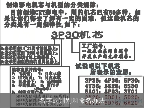 名字的判别和命名办法