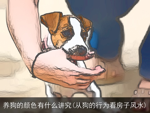 养狗的颜色有什么讲究(从狗的行为看房子风水)