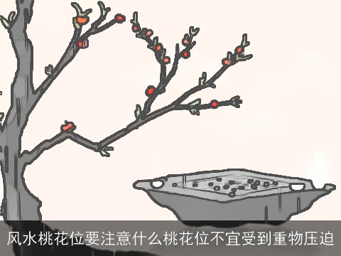 风水桃花位要注意什么桃花位不宜受到重物压迫